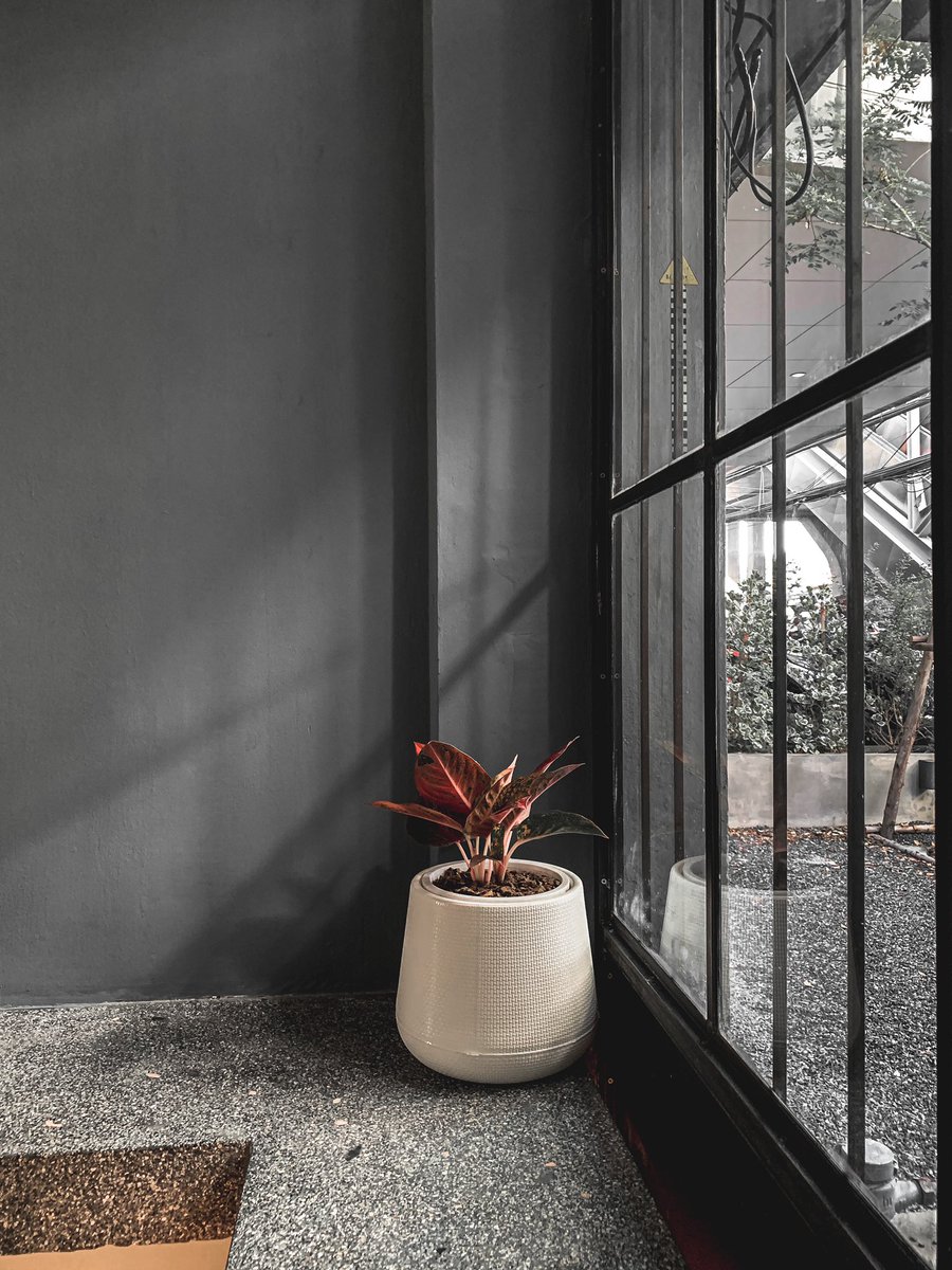 allthingall's tweet image. คาเฟ่เปิดใหม่ รีโนเวทอาคารเก่า
ริมถนนพหลโยธิน ติดกับ BTS พหลโยธิน 59
กาแฟดี มีเมนู signature ให้เลือกหลากหลาย ราคาน่าคบ
ใครขยันตื่นเช้า รีบมาด่วน เพราะเค้าเปิดตั้งแต่ 7.30 !
 สายคาเฟ่ ไม่ควรพลาด ต้องลองสักหน่อยยยยย
📍Vibrant.bkk
@aroii