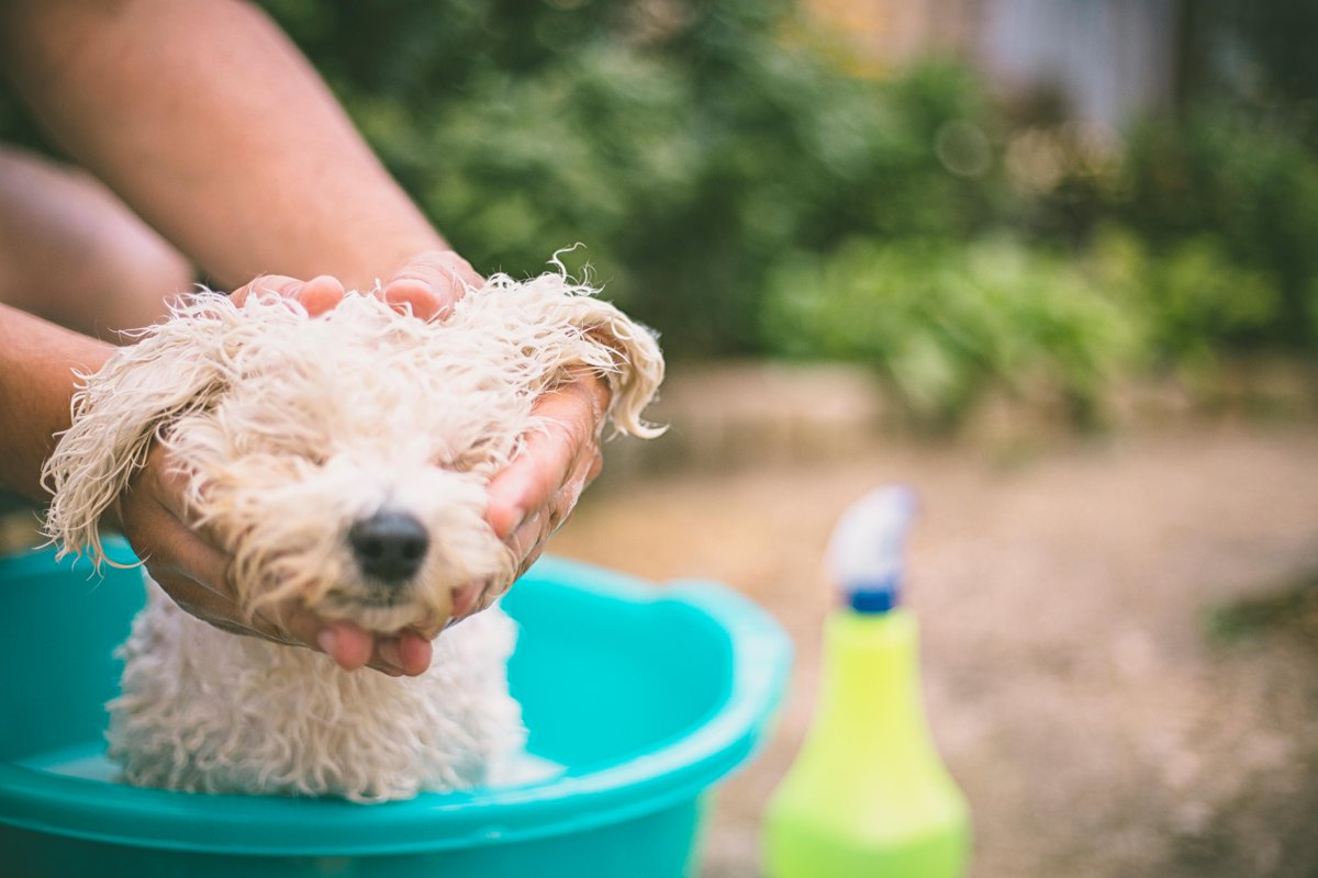 stwater's tweet photo. Filling your average family paddling pool can use over 1,000 litres of drinking water. And the more water we use the bigger our carbon footprint. So, fill up halfway and help protect our natural habitat.
For more water saving tips click here. https://t.co/8nY53xwWBS https://t.co/vPI11WRM9z