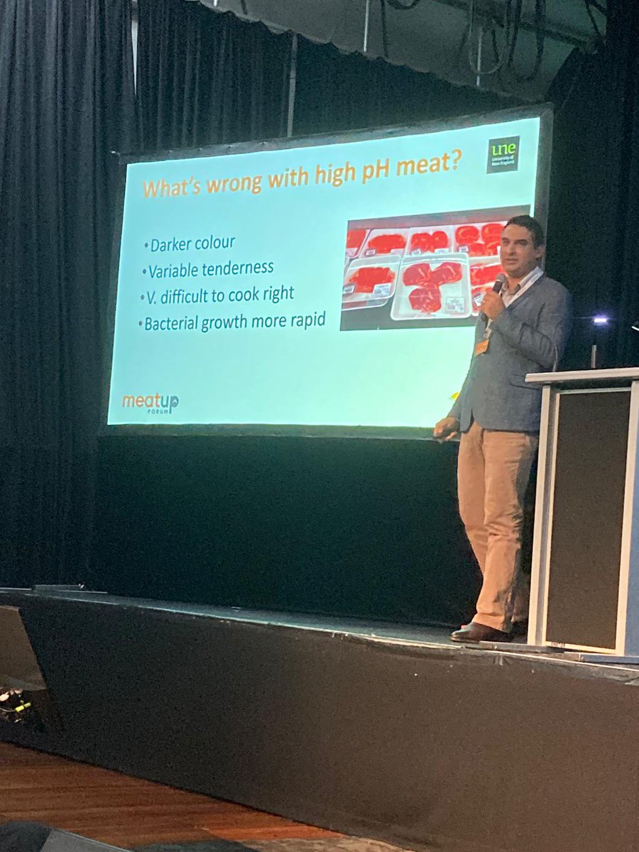 <a href="/PeteMcGil/">Peter McGilchrist</a>, UNE sharing insights and opportunities to enhance eating quality and reduce dark cutting beef through on farm management - such as the role of genetics, nutrition, management to ensure continual improvement across the value chain, today at #MeatUp Naracoorte