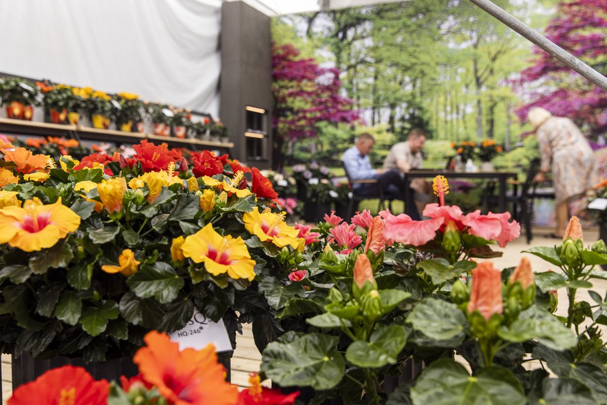 FlowerTrials tweet media