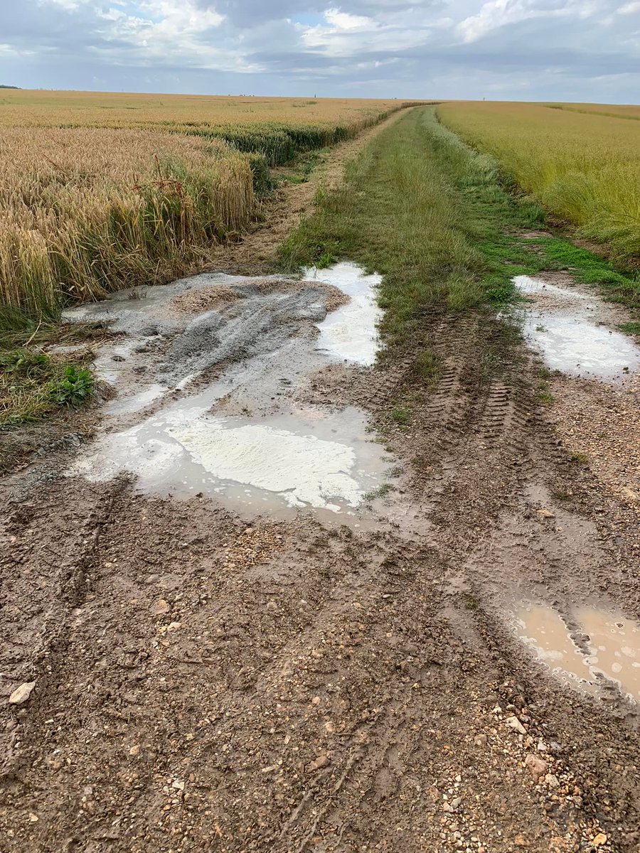 Jaime Les Paysans tweet media