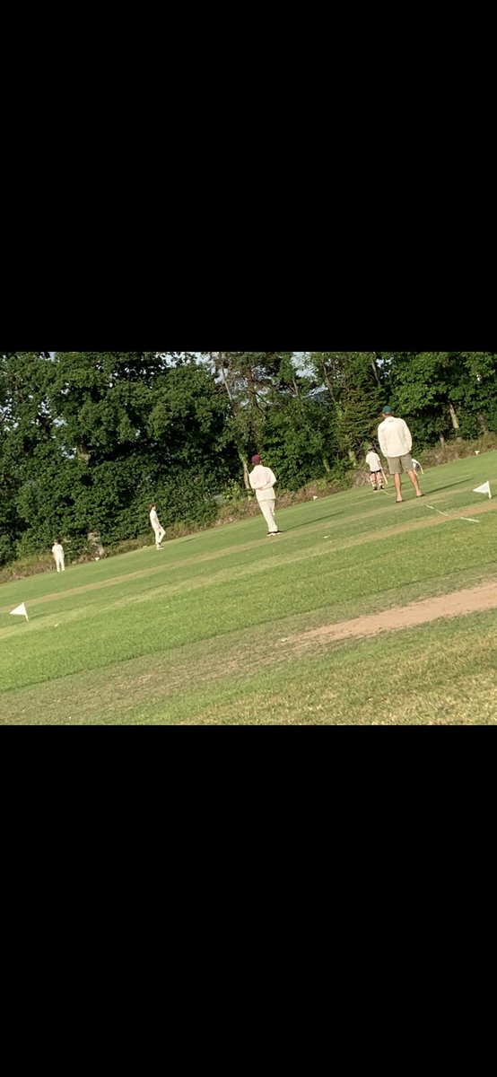 South Petherton C.C. tweet media