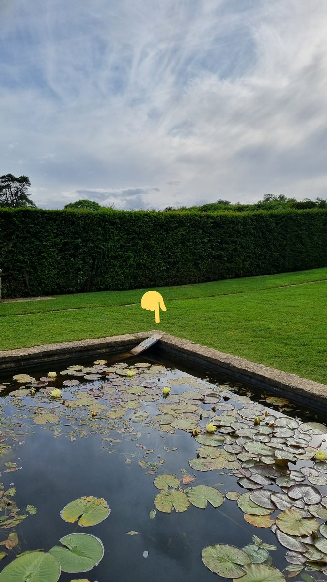 My mom always used to make my dad put in critter ramps into our cow's water tanks in case a critter fell in and needed to walk out. 🧐 I thought she was crazy. 20 years later, I've now spotted one at <a href="/thenewtsomerset/">The Newt in Somerset</a> . Sorry for laughing mom. Maybe it is a thing.