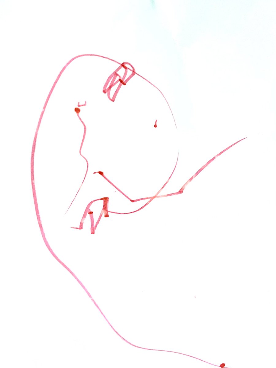 She just turned two n proudly shows me her “balloon”…🤦🏼‍♂️ Keep showing her @DeadfeIIaz 💚but it seems she’s <a href="/unofficialmfers/">mfers</a>