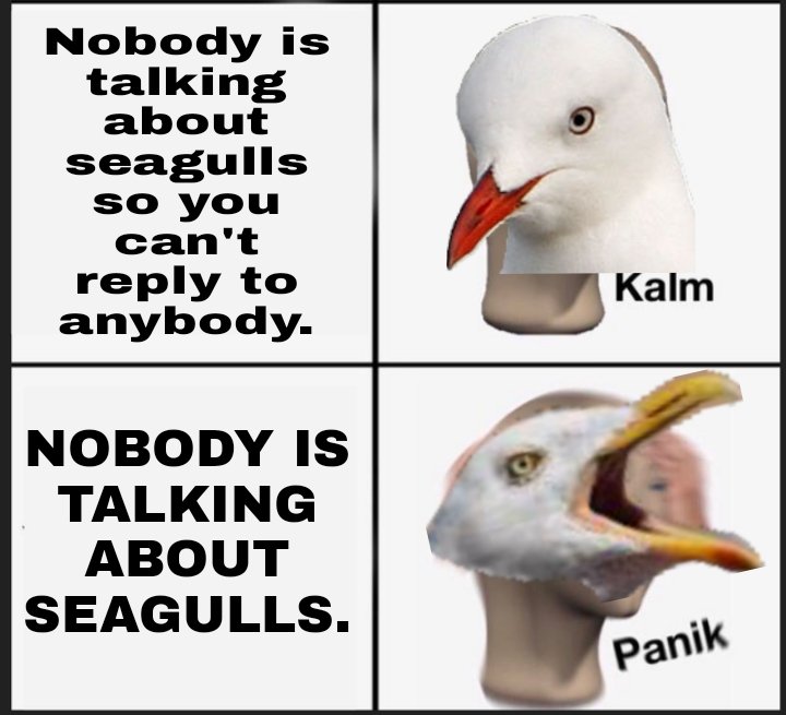 GoGoSeagull's tweet image. This was funnier in my head