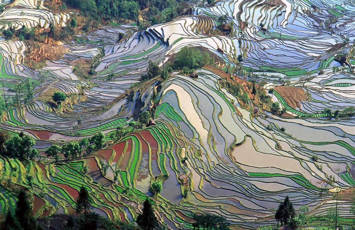 neuranne's tweet photo. The way our species reshapes its environment often looks computer generated

Crop fields in Kansas, U.S. (left) and terrace rice fields in Yunnan Province, China (right) https://t.co/LTfYpAQkeO