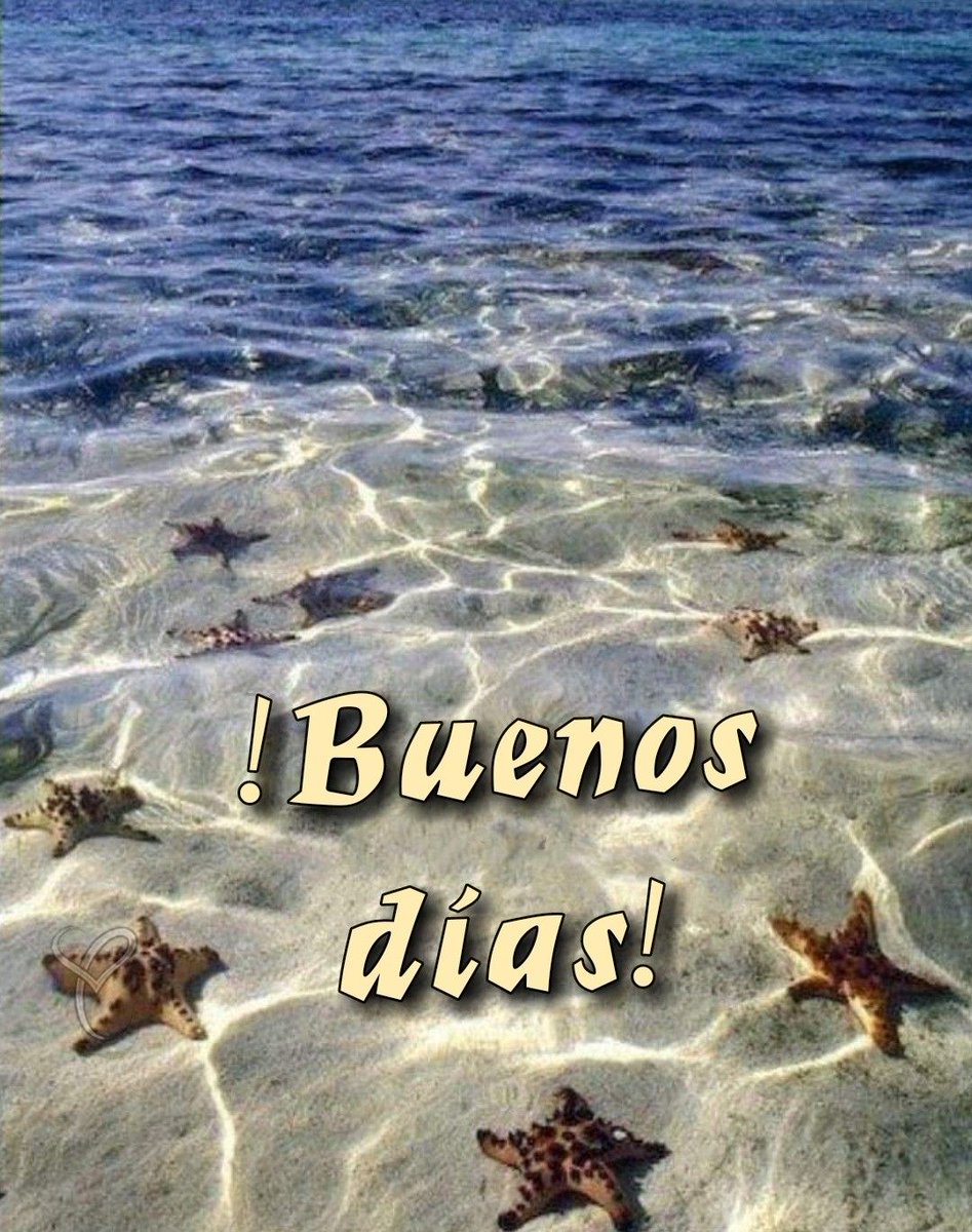 Sweet_Dreams72's tweet photo. Unos Buenos días,
para estrenar el día.
Un café fresquito,
hecho con cariño.
Y como una linda rosa,
una sonrisa hermosa.
#FelizMartesAtodos
#NoTeOlvidesDeVivir https://t.co/fI4z2wrPcs