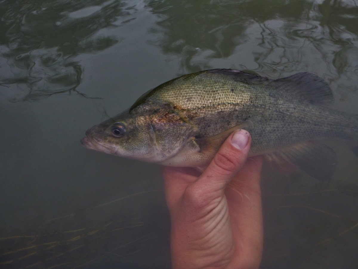 Environmental Water tweet media