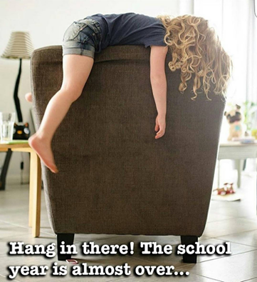 SSNBearna tweet media