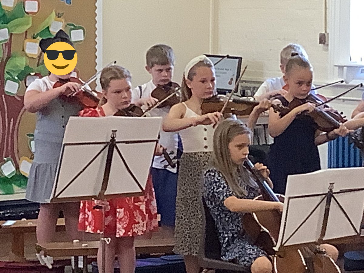 Pine Class St.David’s Haigh tweet media