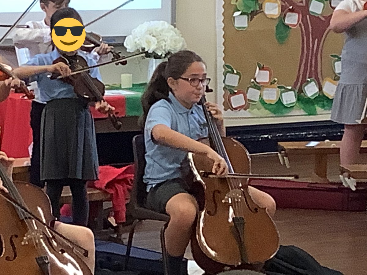 Pine Class St.David’s Haigh tweet media