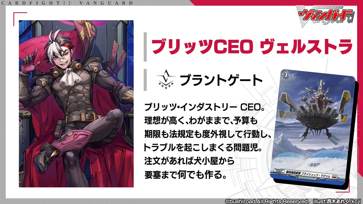 ヴァンガード ブリッツCEO ヴェルストラ FFR | uzcharmexpo.uz