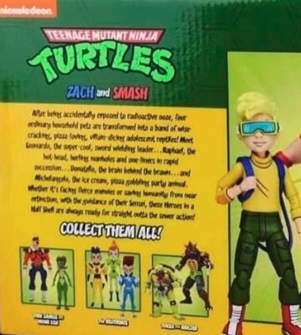 toy news international tmnt