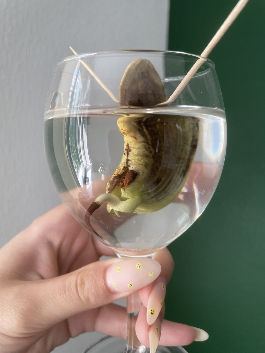 podkovi #nftnyc2024 tweet media