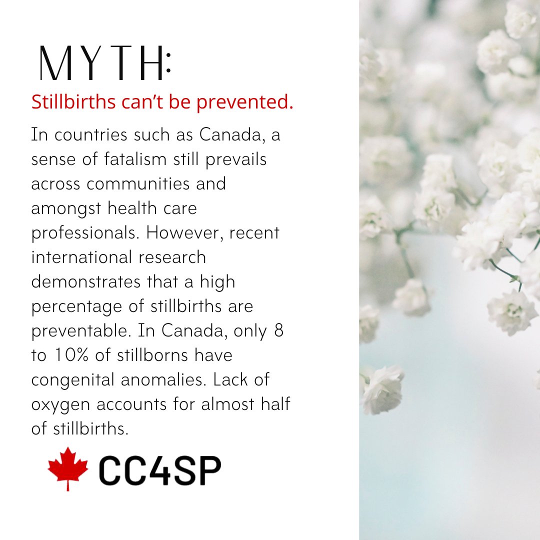 Canadian Collaborative for Stillbirth Prevention tweet media