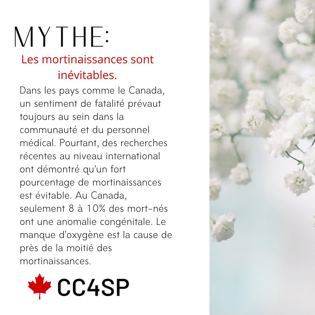 Canadian Collaborative for Stillbirth Prevention tweet media