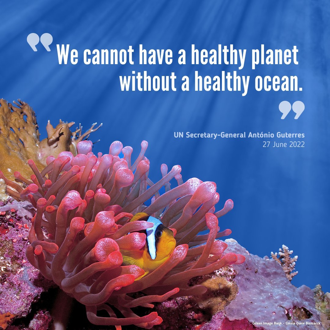 IPBES tweet picture
