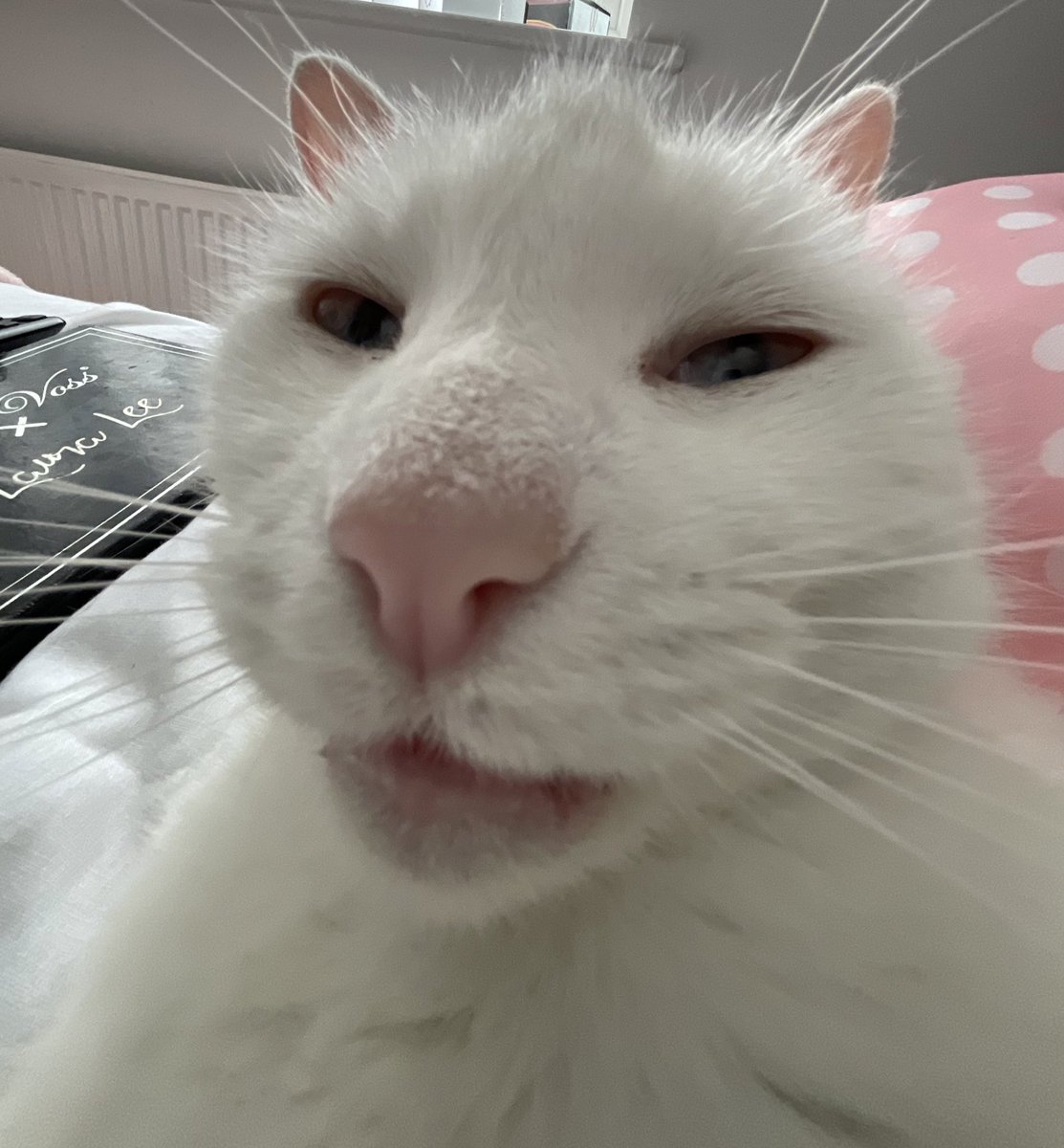 ime at ur fromt door