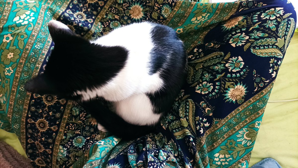 𝕮𝖆𝖗𝖔𝖑𝖎𝖓𝖆 (@cestlaluxure) on Twitter photo 