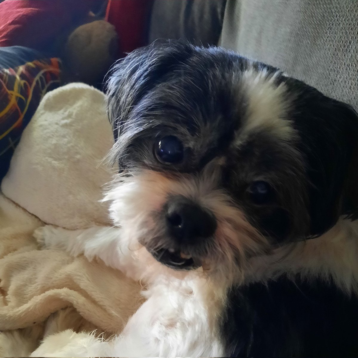 Wilson2002A's tweet photo. #NewProfilePic https://t.co/qExj5nL5K7