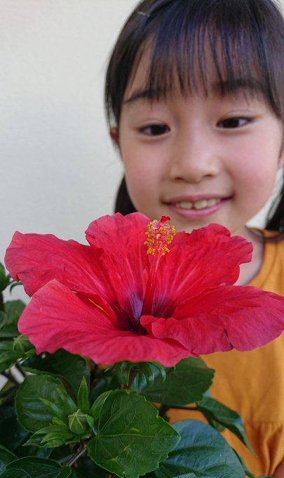 Twitterのコスプレ画像28