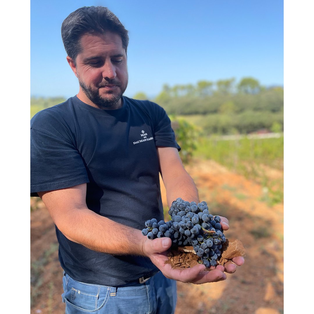 Le Festival des Vins d’Aniane approche ! 
Depuis sa création, Mas de Daumas Gassac met en valeur un terroir et un climat situés à Aniane.
Cet engagement passe par notre participation au Festival des Vins d’Aniane dont la 23ème édition aura lieu les 22, 23 et 24 juillet.