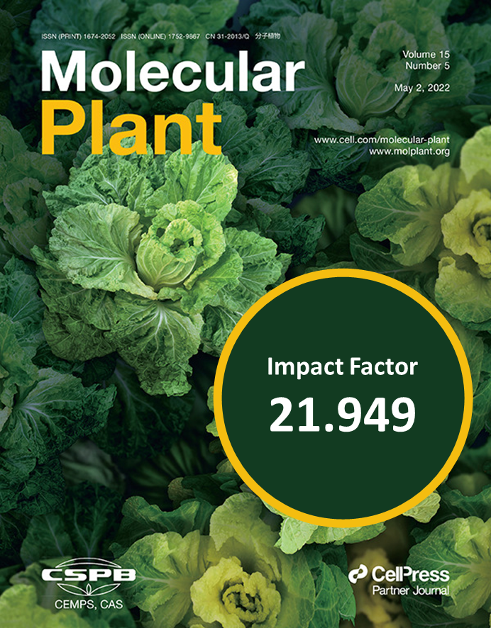 Molecular Plant has just received an Impact Factor of 21.949 for 2021,  ranked as the No. 1 among the primary research journals of plant science  category! Many thanks to all our authors,