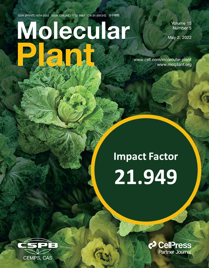 Molecular Plant & Plant Communications Twitter: "Molecular Plant has just received an Impact Factor 21.949 for 2021, ranked as the No. 1 among the primary research journals of plant science