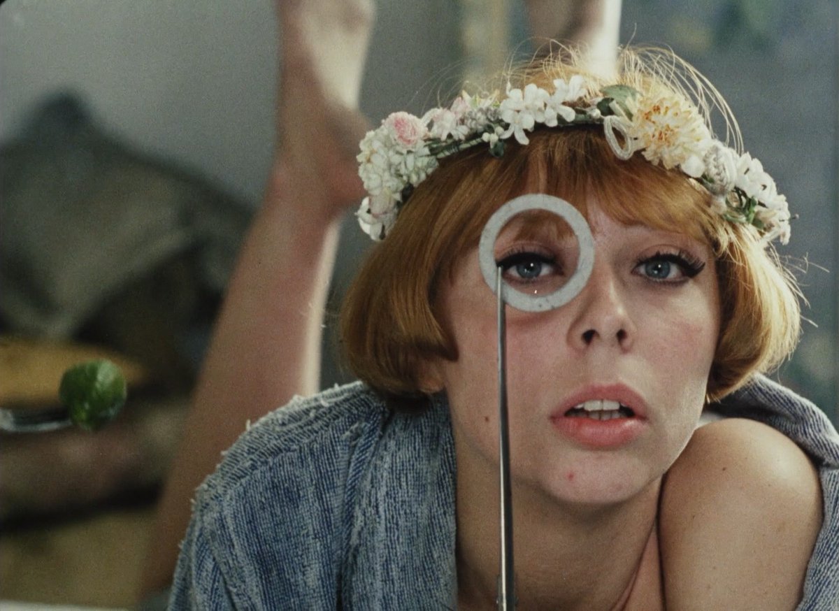 TheCinegogue's tweet photo. Daisies🌼 https://t.co/b0BaF5YwTH
