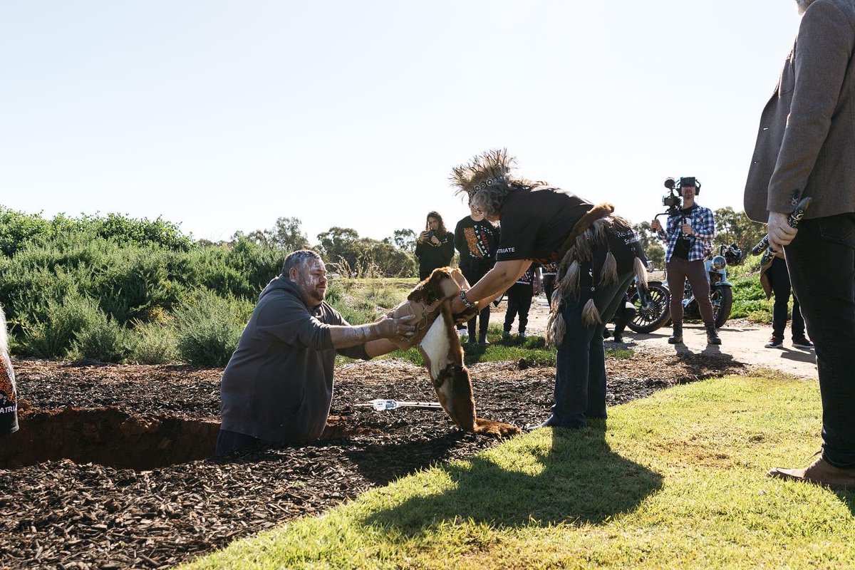 John Carty tweet media