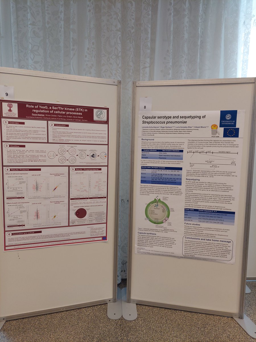PestBin_ITN's tweet photo. ESR1 Leonarda Acha Alarcon and ESR9 Payal Nashier, presented posters at the 4th International conference on post-translational modifications in Bacteria (PTMBact 2022) held in Copenhagen on 5th and 6th May 2022. @PestBin_ITN @MSCActions @uni_tue @sahlgrenska @goteborgsuni https://t.co/ELLoqUzybs