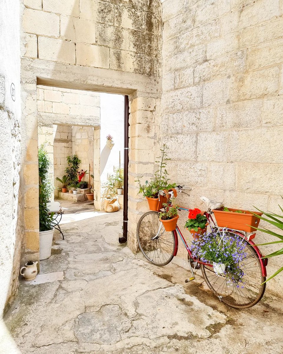 WeAreInPuglia's tweet photo. It’s a maze of tangled streets and meandering alleys here at the heart of Minervino Murge, 500 meters above sea level, with a spectacular view of the Ofanto Valley, the Alta Murgia National Park and the nearby Basilicata.

#WeAreinPuglia         

📸 @ilrandagio_ https://t.co/Av8HbWq9QV