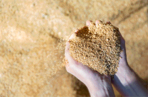 Innovfoodtech's tweet photo. Waste streams in food processing: the perfect opportunity to develop sustainable, high value-added products #innovation #Sustainability #recycling #processing #food https://t.co/OU2yaZPugU https://t.co/uaf4ukmsjE
