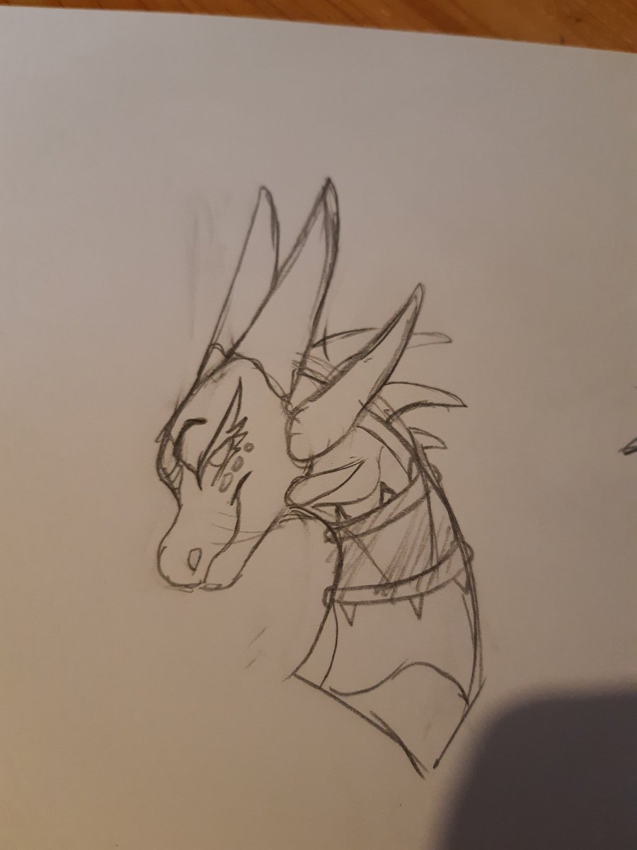 AmyRaptorGirl's tweet photo. Some dergs sketches on paper because I still don't have my tablet pen lmao

First one is Ashura, one of my lovely frend 
Other two pics is May and Braise, my sona and my boyfriend one <3 
And for the last it's Cynder cause I'm a simp for her. https://t.co/E7tTIf7o37