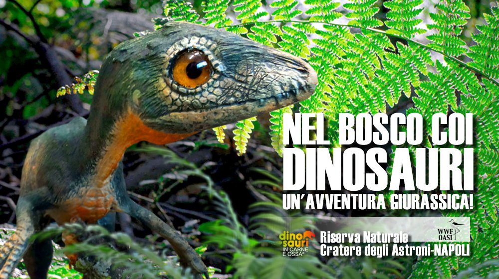 BOSCO e DINOSAURI 💚 🦖🦕

Un'avventura Giurassica all'ombra del Bosco tra i #Dinosauri all'<a href="/OasiAstroni/">CrateredegliAstroni</a> di #Napoli! Sabato, domenica, festivi ore 10-18 (chiusura biglietteria ore 15:40). Servizio navetta. Prenotazione qui 👉 crateredegliastroni.org/prenotazioni 

👉 dinosauricarneossa.it/napoli