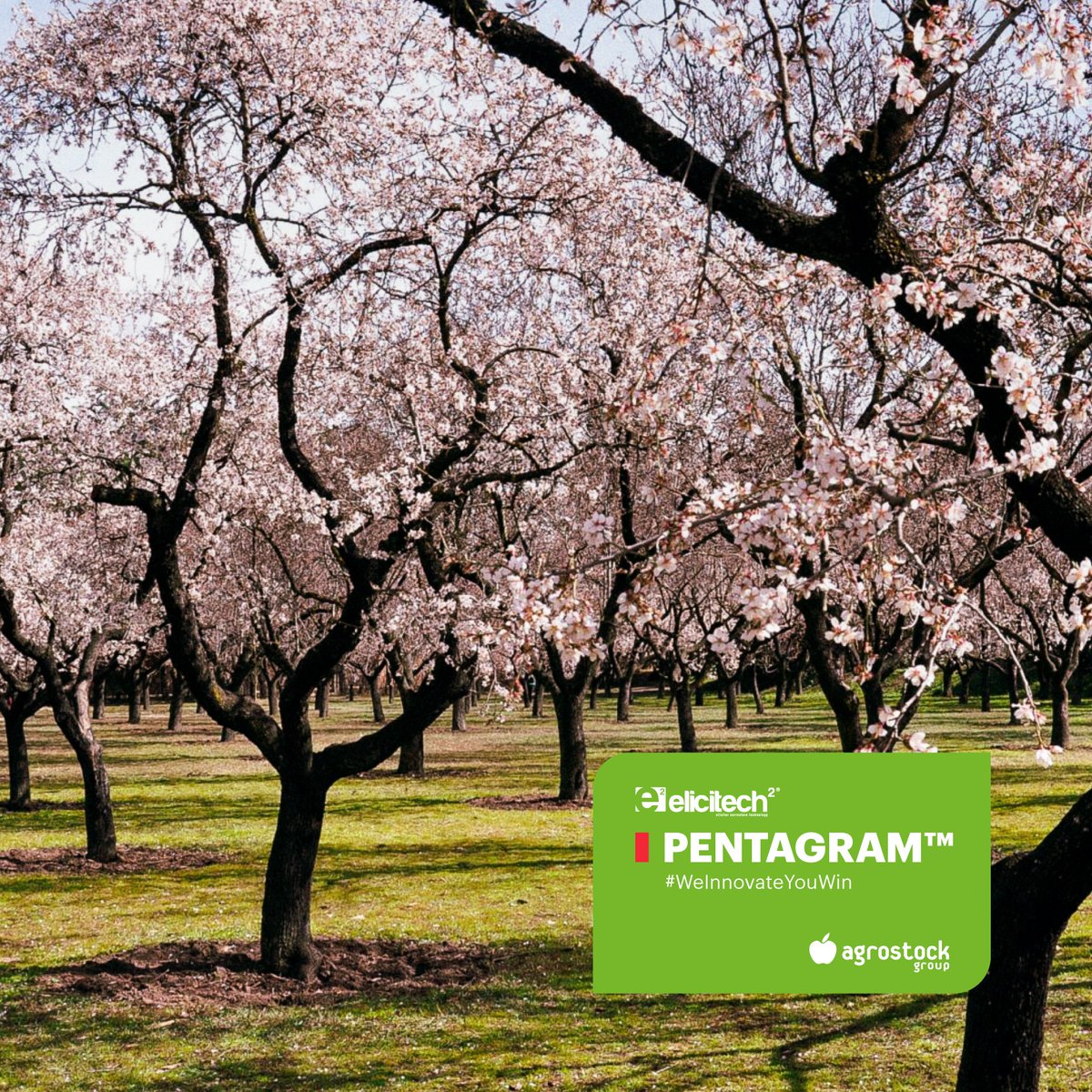 Cómo reducir las #fisipoatías derivadas de la carencia de Calcio en los #cultivos.

🌿Info > bit.ly/3lFIBNr