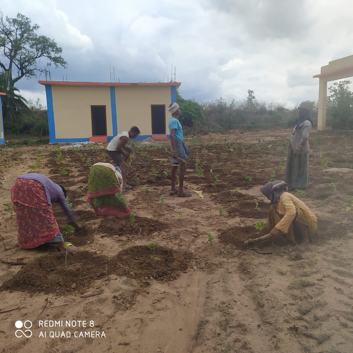 sbmgmulugu's tweet photo. #BioFencing works near Segregation shed and Crematorium of Nimmagudem Gram Panchayat, Mangapet Mandal
@TelanganaCMO 
@DayakarRao2019 https://t.co/bWMEfbWR6u