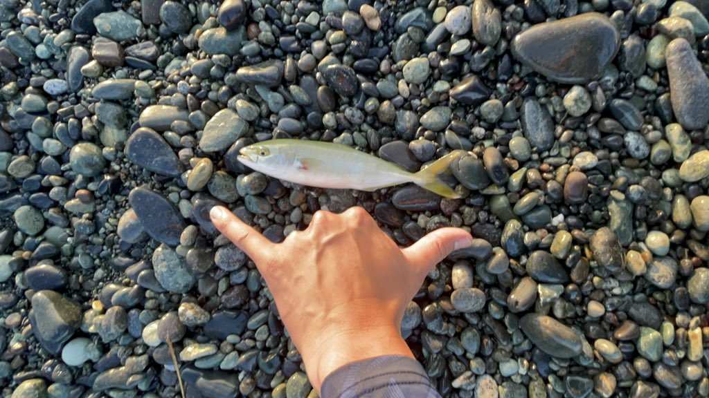 ru3_angler's tweet photo. 暑かった日 https://t.co/y0HLMCd5Jd