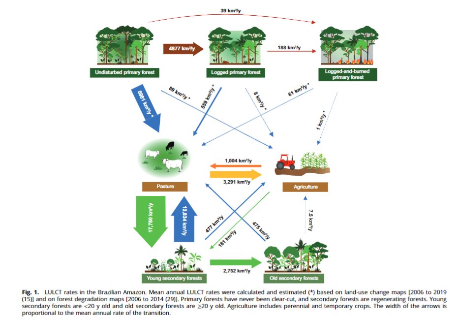 Alex Lees tweet media