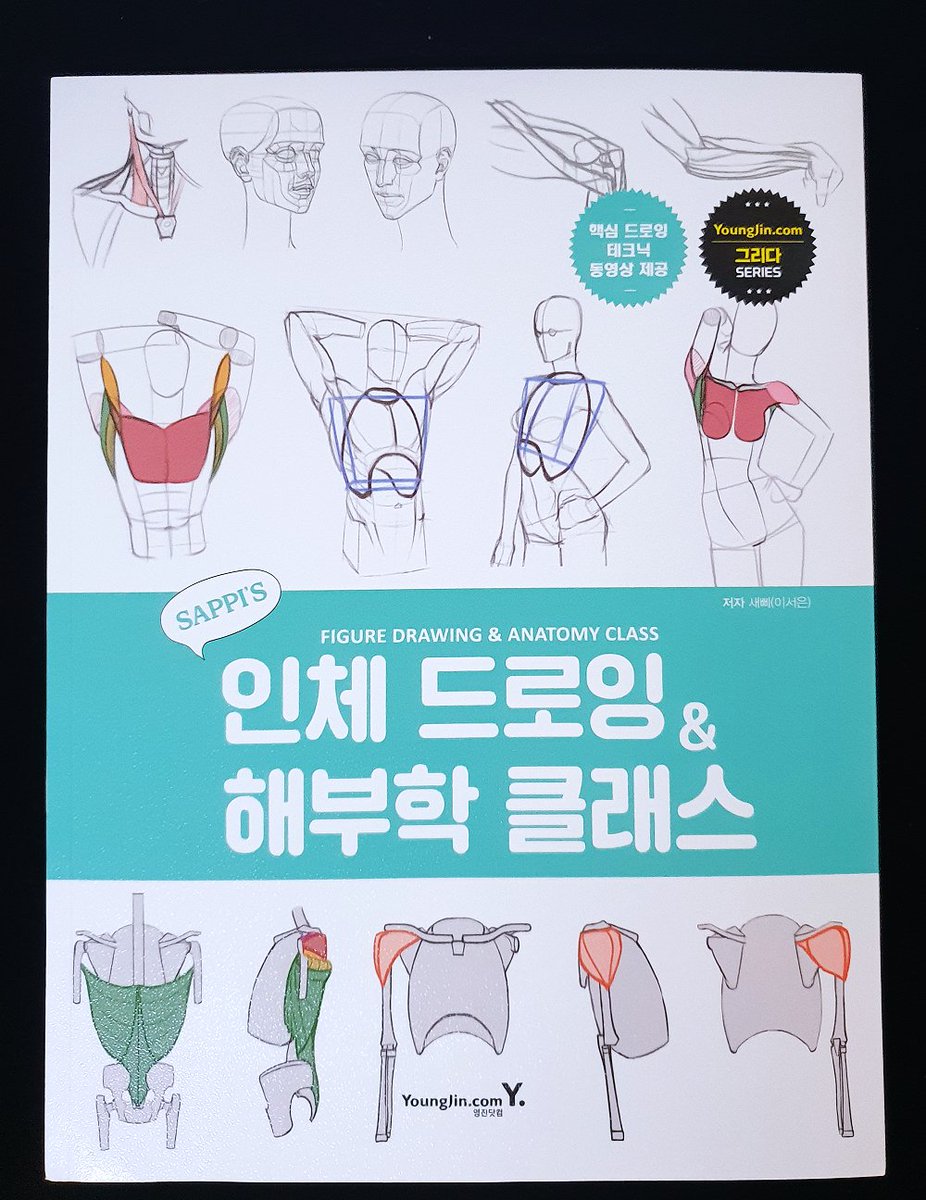 data_bu's tweet photo. ✨새삐의 인체 드로잉 &amp; 해부학 클래스
일러스트레이터 새삐님의 인체 해부학 도서입니다! 인체의 비율과 형태, 뼈와 근육, 포즈와 앵글 등 인체 드로잉의 전반적인 내용이 담겨있습니다! 드로잉 용어들과 작업 프로그램부터 근육, 뼈, 투시, 사진 트레이싱, 실질적으로 일러스트에 활용할 수 있는 https://t.co/cyUXYRWr70