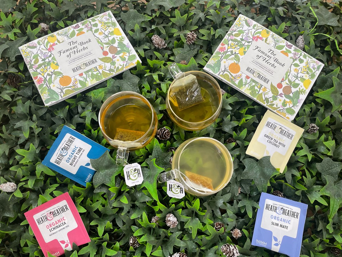 Our wide variety of herbal infusions are tailored to any mood or specific need 💚