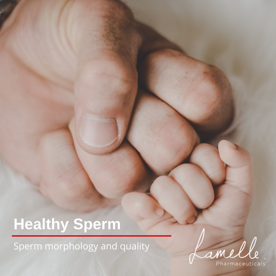 ParentingHub1's tweet photo. #prelox #preloxfertility #daddymoments #preloxrange
https://t.co/pjloHxWhn0 https://t.co/rHjaJi6nNn