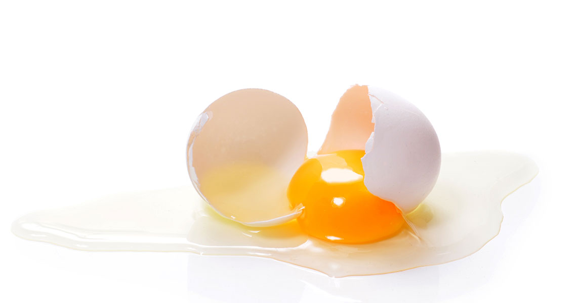 test Twitter Media - Artículo de HRS: "El proceso termal del huevo con intercambiadores de calor tubulares". Los #heatexchanges de tubo corrugado de HRS aportan ventajas sobre otros diseños. Más: https://t.co/NffvB1TK5D #foodprocessing #corrugatedtube https://t.co/S3NL6VDT83
