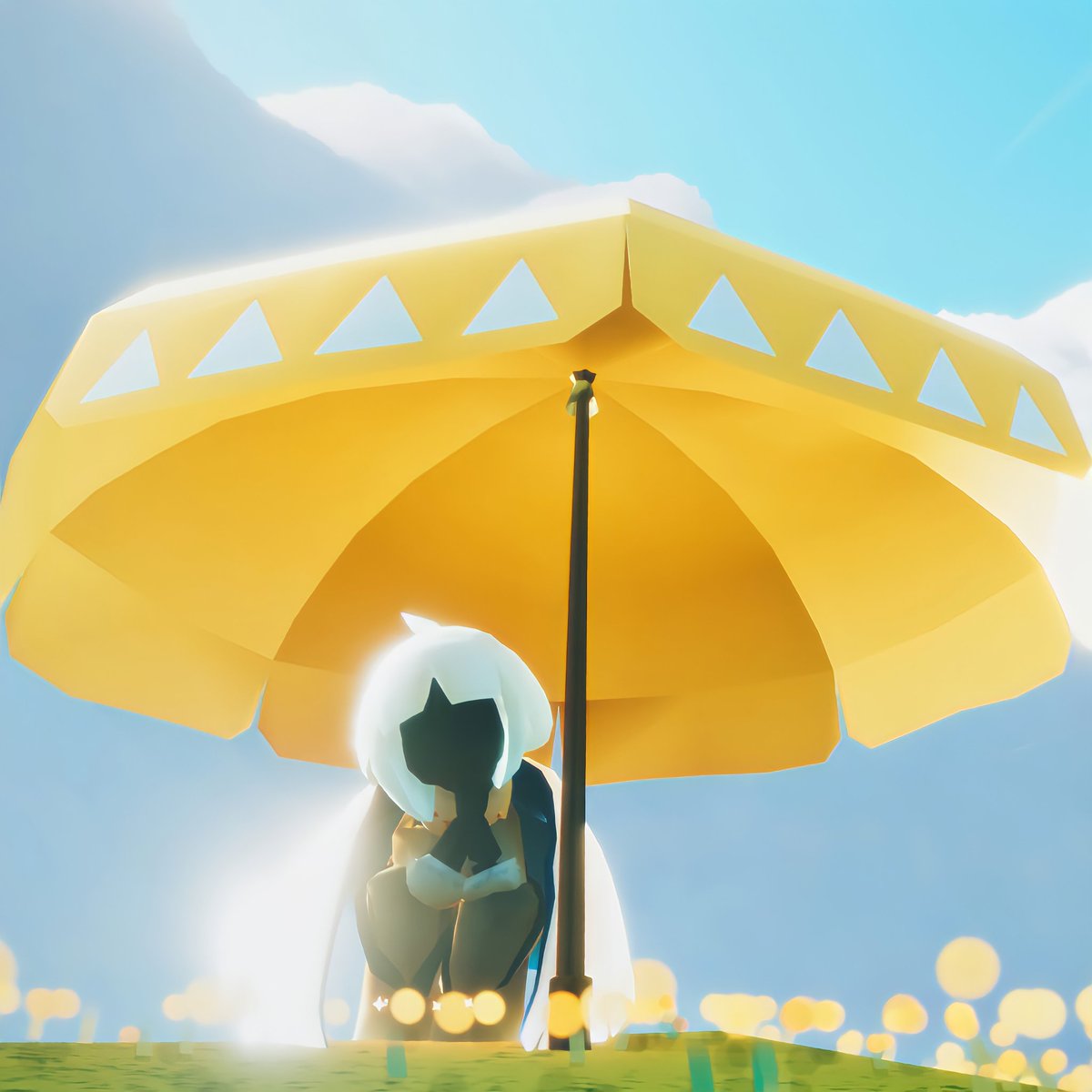 もも (@taromomo__momo) on Twitter photo 