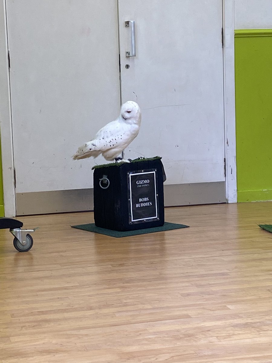 St Peter's RC Primary tweet media