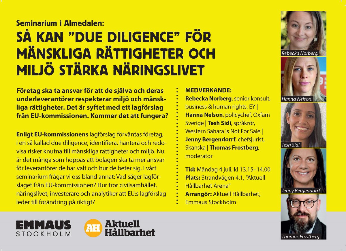 @WsnsOrg will be next week at the seminar organised by @emmausstockholm, on due diligence and corporate responsibility for the environment & human rights. 📍Almedalen, Place: Strandvägen 4.1 'Aktuell Hållbarhet Arena', Stockholm 📆4 July, 13.15 -14.00 #almedalen2022