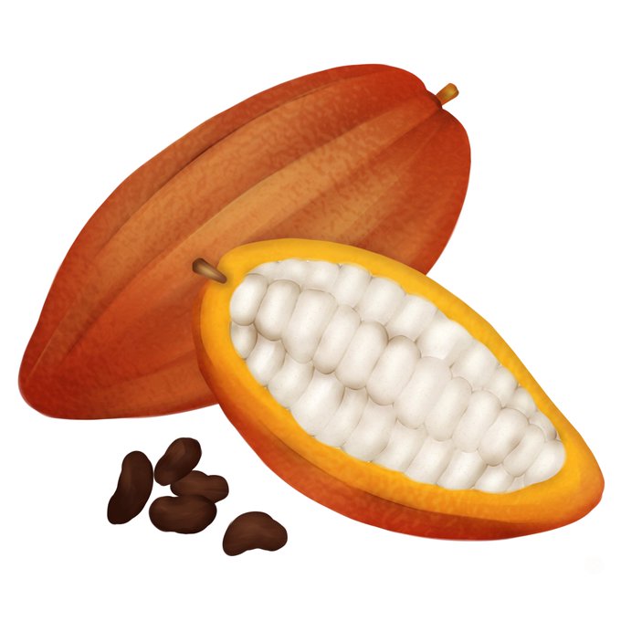 カカオ豆のtwitterイラスト検索結果 カカオ豆のtwitterイラスト検索結果