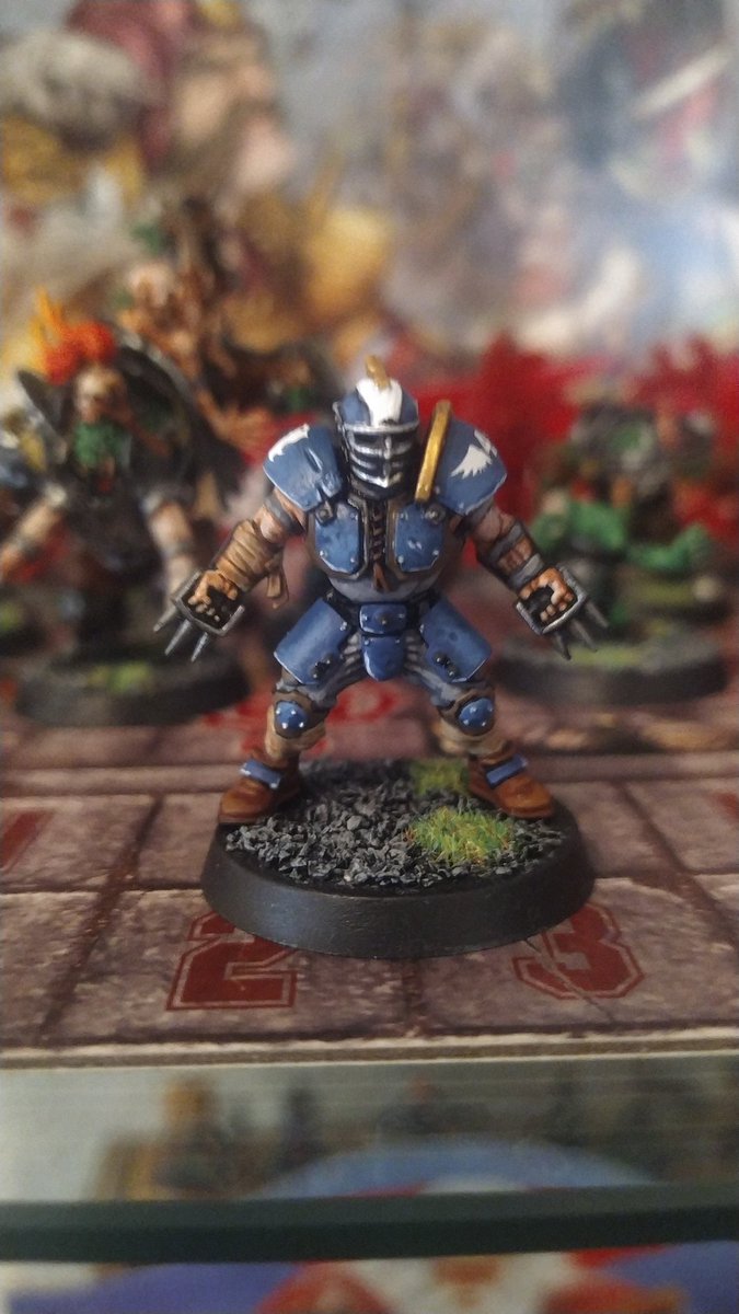 FENIKTWO's tweet photo. Primer Línea de los Stormwind All-Stars   #Bloodbowl #gamesworkshop https://t.co/ZpcSVoPXG2