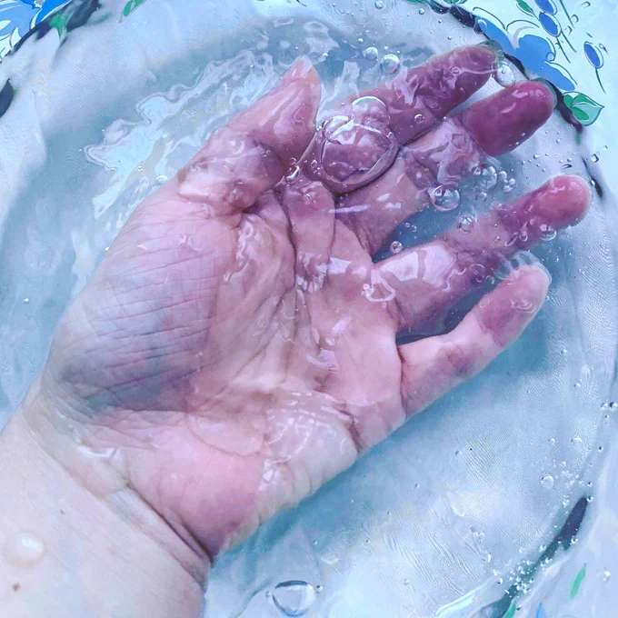 描いた絵と撮った写真 
