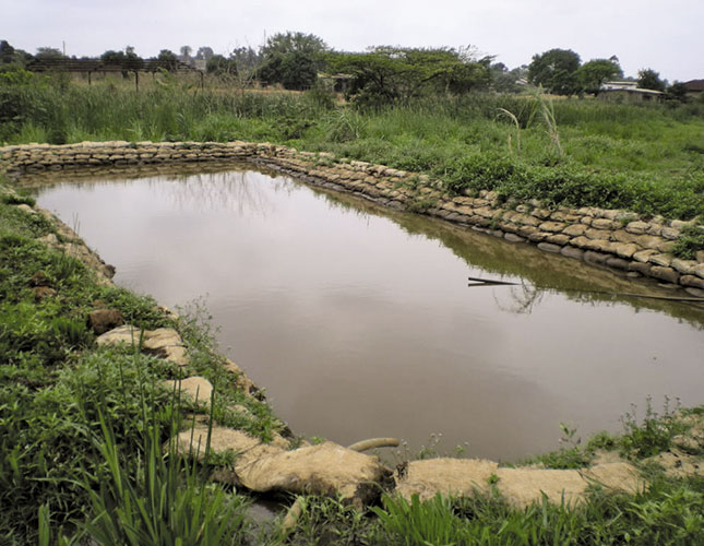 Fish farming has turned
out to be a fast growing
business in most parts of
#Zimbabwe witnessed by
a number of small scale
farmers who have ventured
into the trade, which is now
yielding positive financial
returns. <a href="/agribusiness110/">agribusiness1.</a> <a href="/basera_john/">John Basera</a> <a href="/MoLAFWRD_Zim/">MinofLands,Agric,Fisheries,Water&Rural Development</a> <a href="/farm_value/">Green Value farm</a>